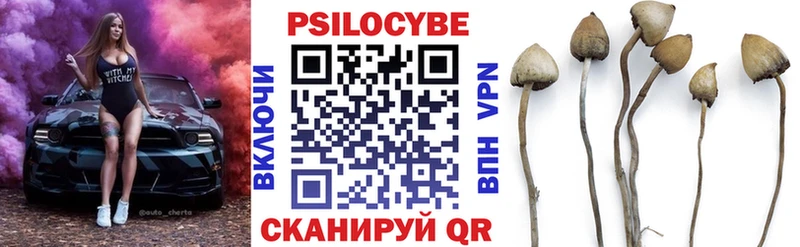 Псилоцибиновые грибы MAGIC MUSHROOMS  Купить  Каргат 
